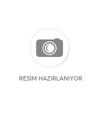 XESTA SHAD STAR SİLİKON 3.5