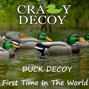 Crazy Decoy Yeşilbaş Erkek Ördek Mühre